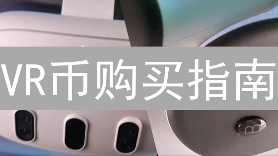 VR币购买指南：详细步骤与风险注意事项全解析