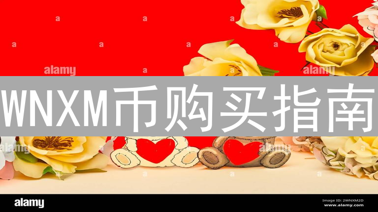 WNXM币购买指南：DeFi保险代币获取全攻略