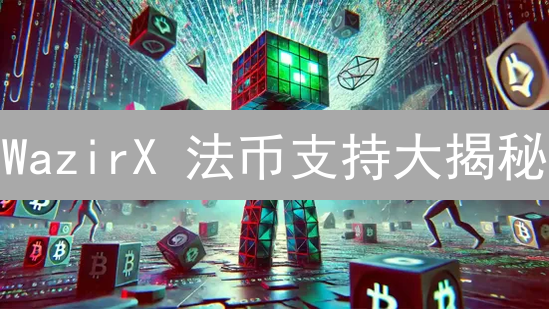 WazirX 法币支持大揭秘：未来还能用哪些货币交易？