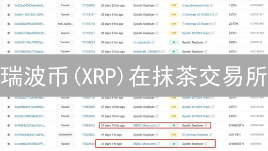 瑞波币(XRP)在抹茶交易所：机遇与挑战深度解析