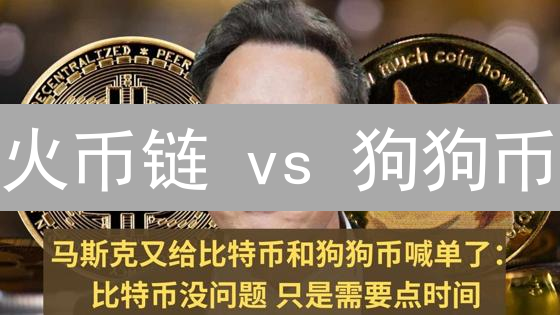 火币链 vs 狗狗币：速度与激情，谁是区块链界的闪电侠？